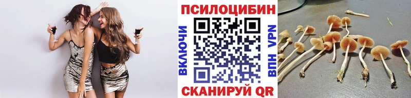 Галлюциногенные грибы ЛСД  Амурск 